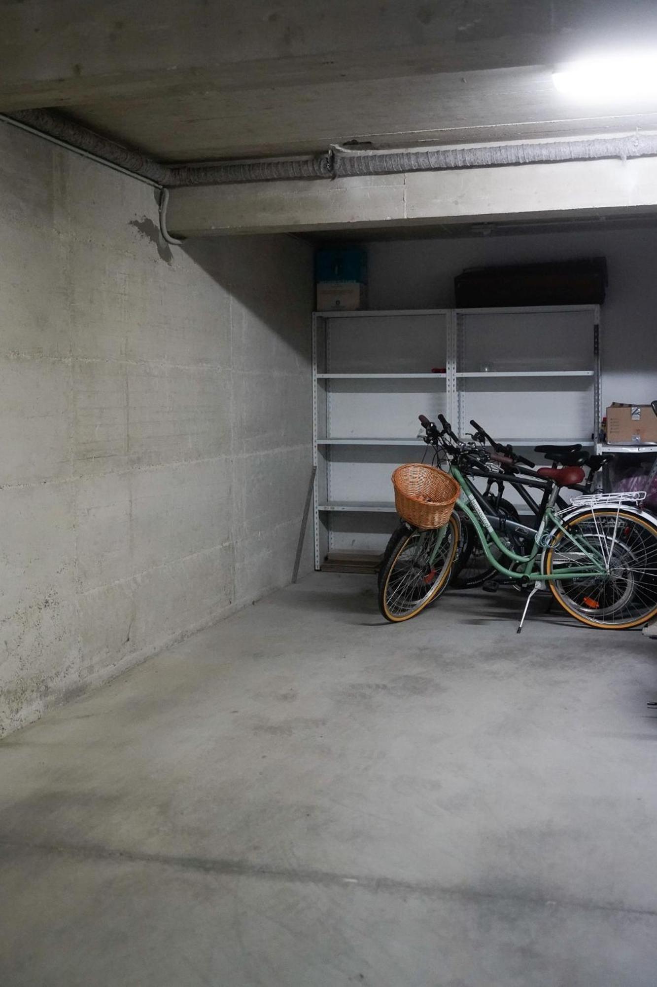 Dandelion Apartment Rovinj-Free Bikes Kültér fotó