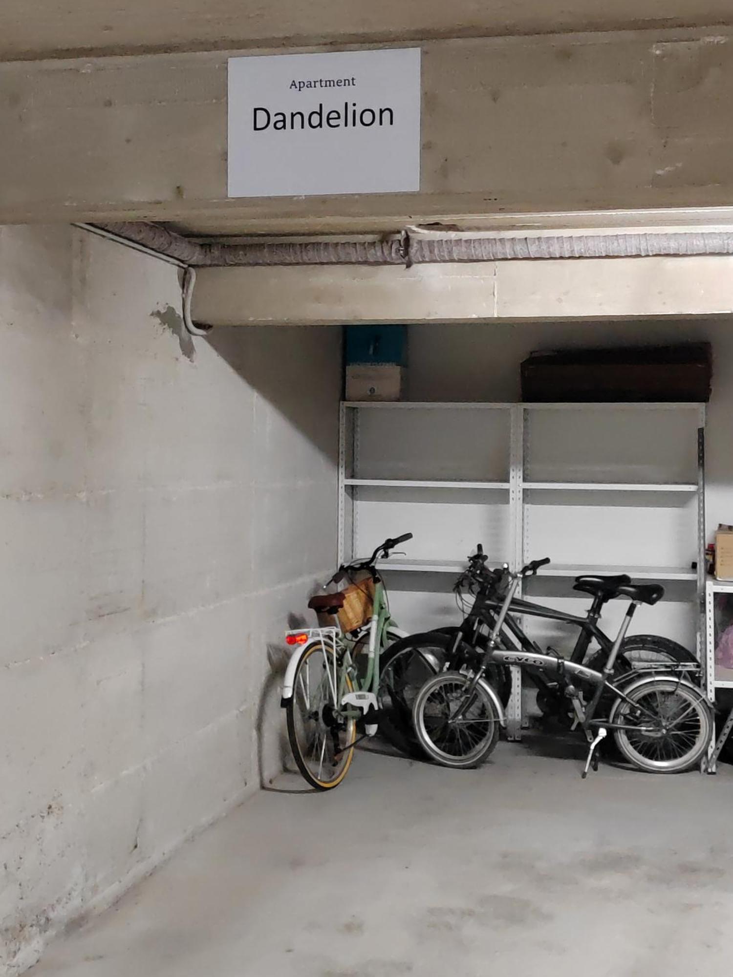 Dandelion Apartment Rovinj-Free Bikes Kültér fotó
